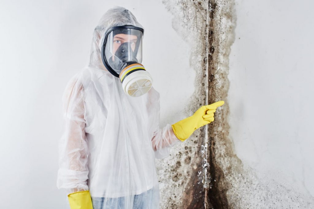 Mold Removal Maintenance