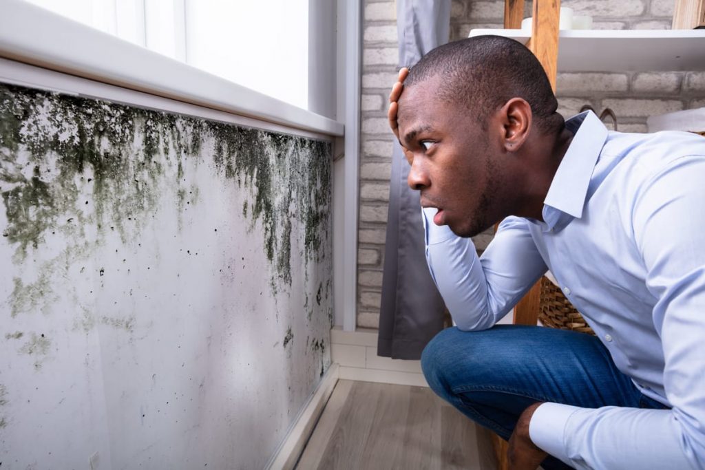 Mold Inspections Los Angeles California
