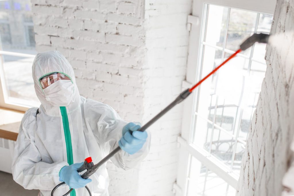 Mold Removal Maintenance