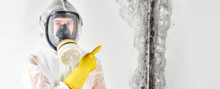 Mold Remediation