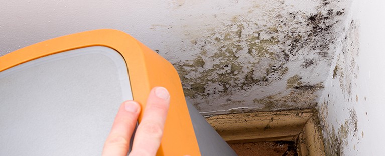 mold exposure symptoms