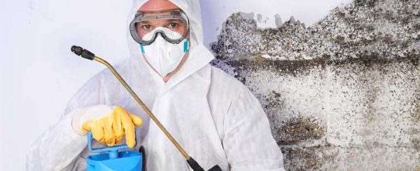 Should I Stay Home During Mold Remediation?