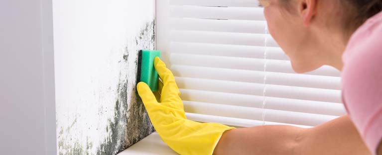 Should I Stay Home During Mold Remediation?